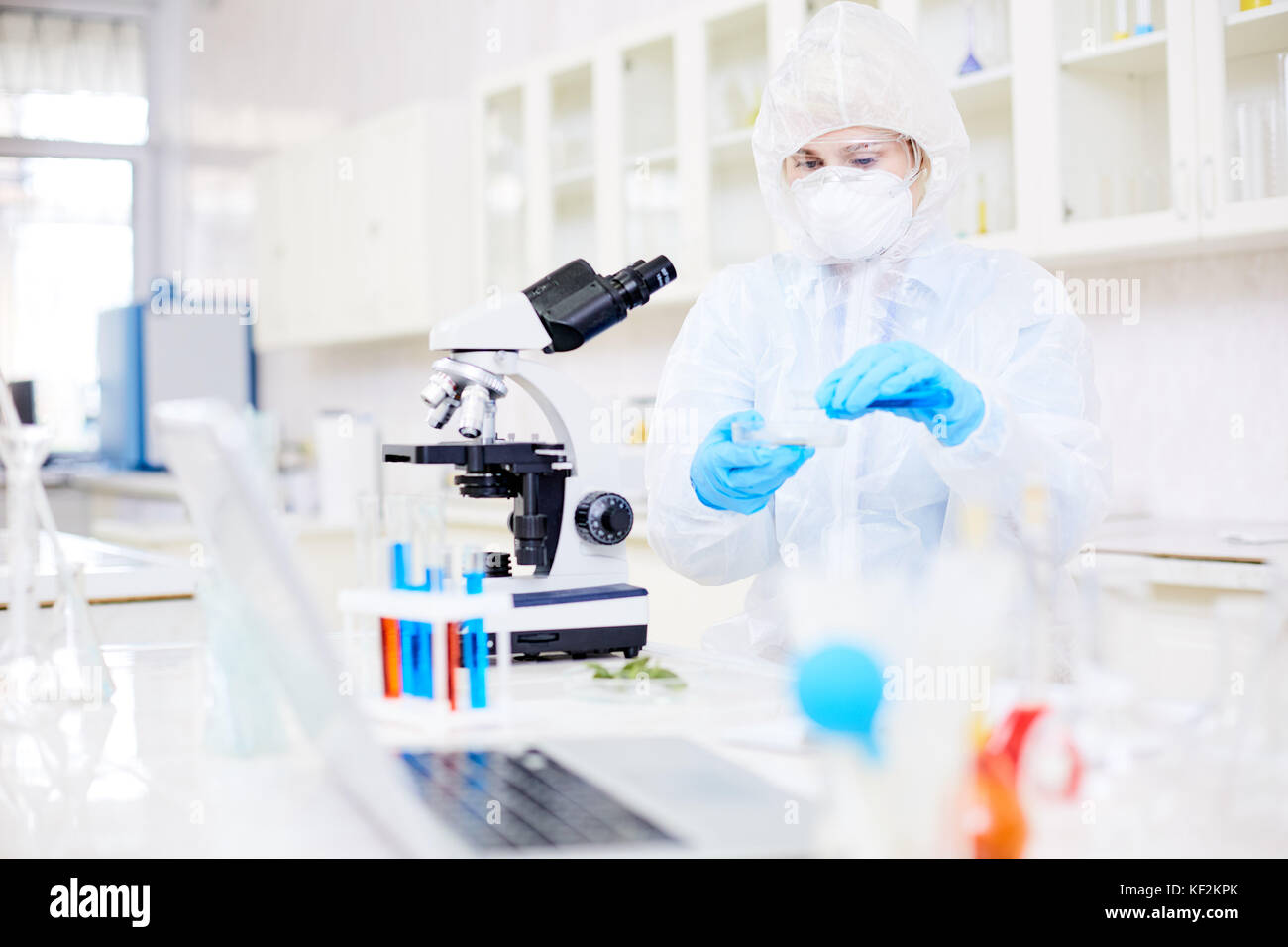 La recherche microbiologique Banque D'Images