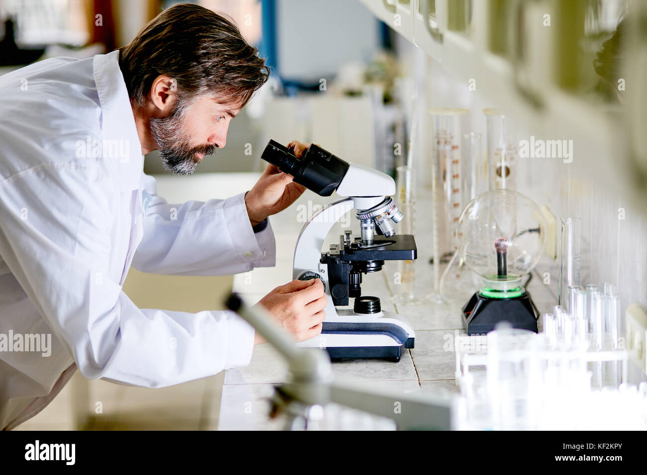 Working in laboratory Banque D'Images