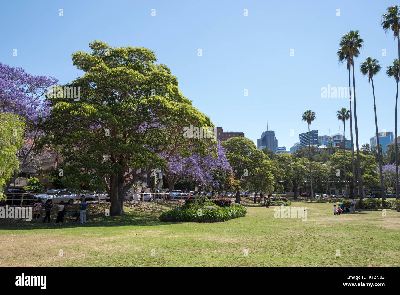 Milson Park, North Sydney, Sydney, NSW, Australie Banque D'Images