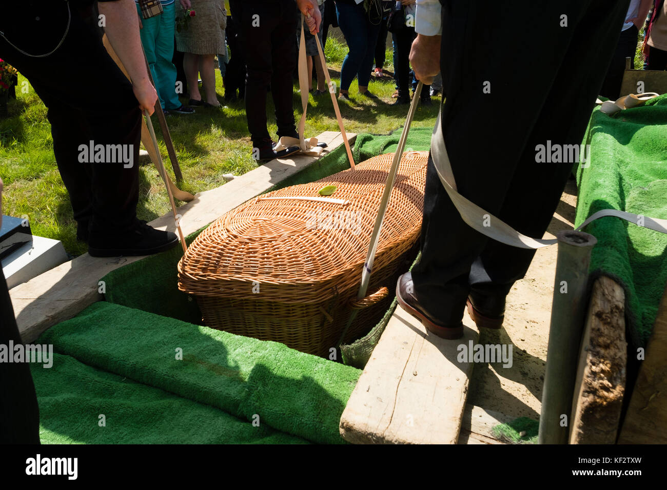 Les inhumations vert : un bio-dégradables wicker cercueil étant descendu dans une fosse commune à un service funèbre uk Banque D'Images