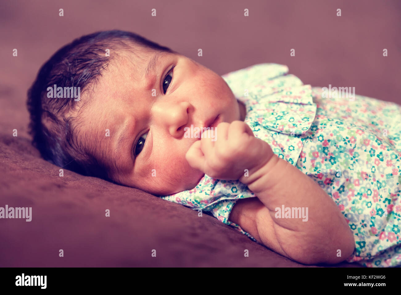 Close up portrait of a cute deux semaines Naissance bebe Fille allongée, les yeux ouverts et à la recherche autour de porter une robe florale / Naissance bebe Fille Banque D'Images