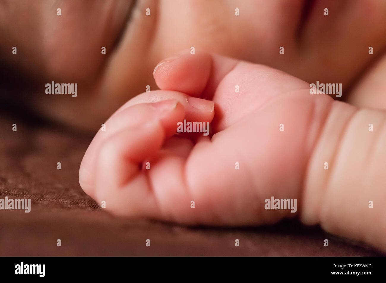 Gros Plan D Une Petite Main Delicate Et D Un Mignon Petit Deux Semaines Naissance Bebe Fille Dormir Paisiblement Dans Son Lit Nouveau Ne Bebe Fille Main Close Up Photo Stock Alamy Gros Plan D Une Petite Main Delicate Et D Un Mignon Petit Deux Semaines Naissance Bebe Fille Dormir Paisiblement Dans Son Lit Nouveau Ne Bebe Fille Main Close Up Photo Stock Alamy