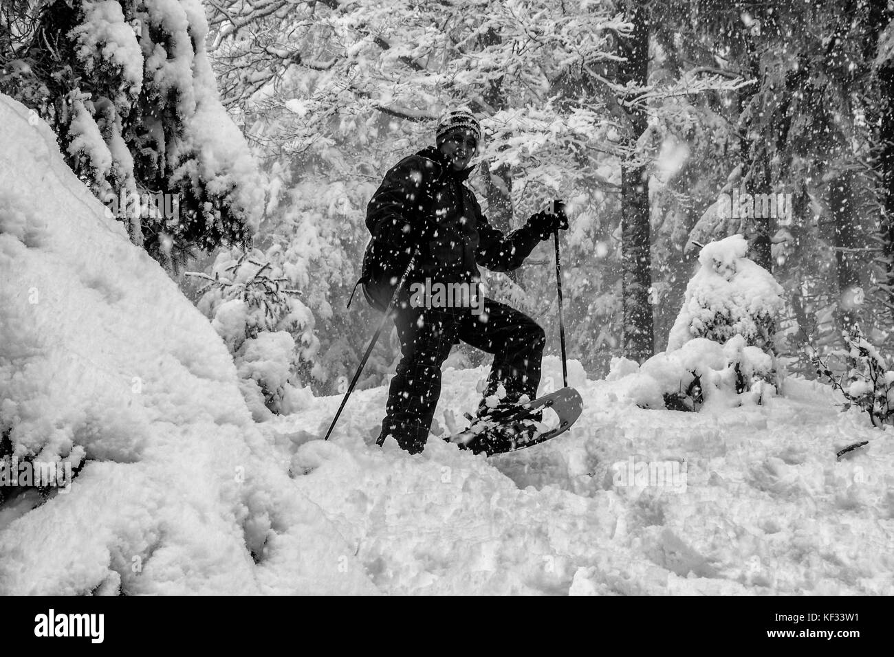 Randonneur en raquettes sur un piquet de clôture chemin défiant un tempête de neige à proximité du hohneck dans les vosges. Banque D'Images
