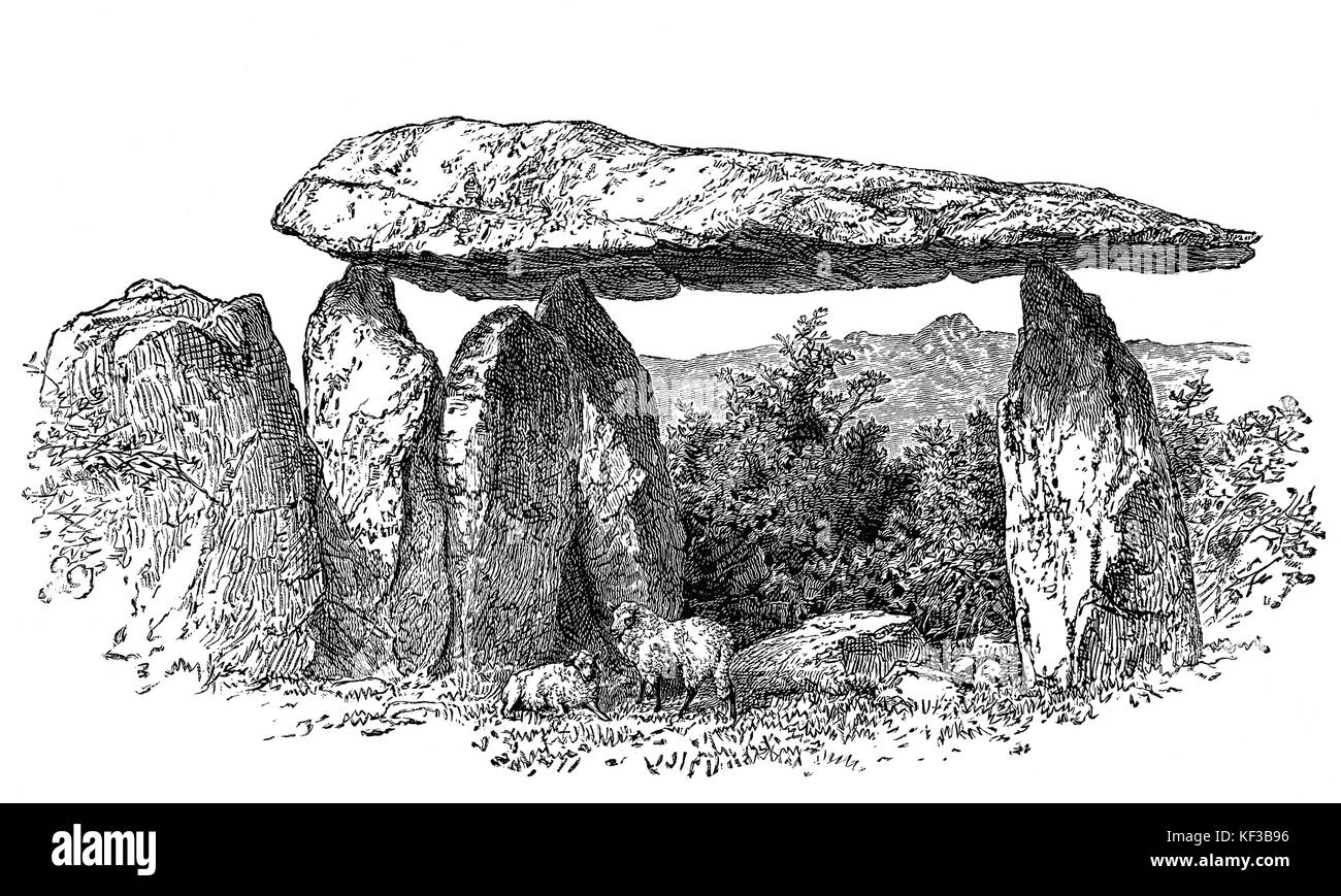 1890 : moutons se trouvant sous le Dolmen de Pentre Ifan, datant d'environ 3 500 av. J.-C., c'est le plus grand et le mieux préservé dolmen néolithique du Pays de Galles. Nevern, Pembrokeshire, Pays de Galles du Sud Banque D'Images