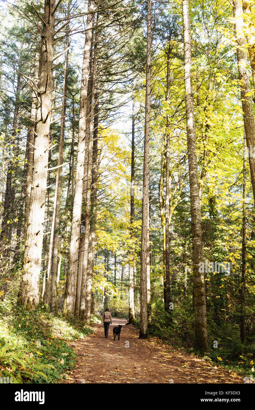 Femme promener son chien dans la nature. Elk Lake, l'île de Vancouver en Colombie-Britannique. Canada Banque D'Images