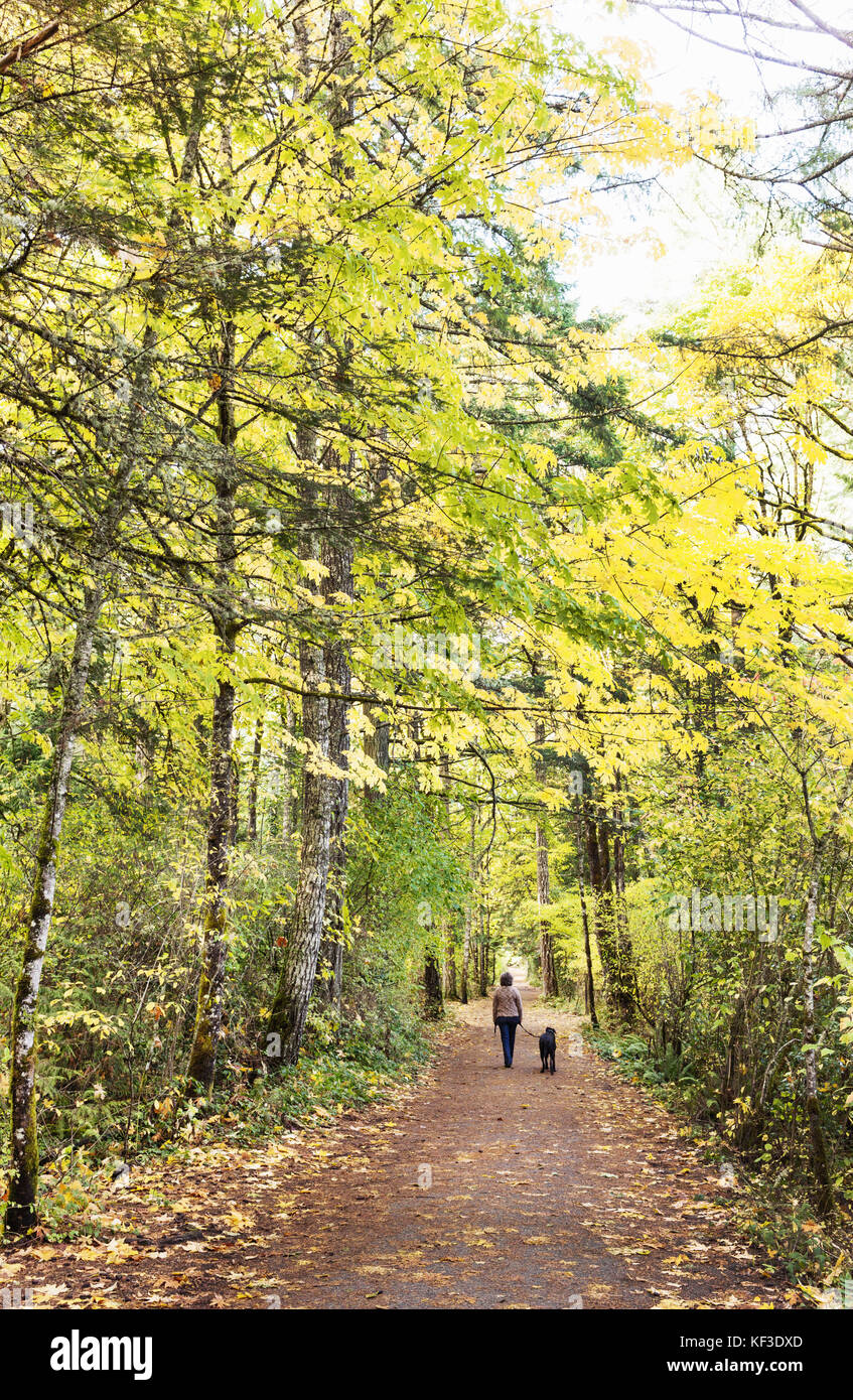 Femme promener son chien dans la nature. Elk Lake, l'île de Vancouver en Colombie-Britannique. Canada Banque D'Images