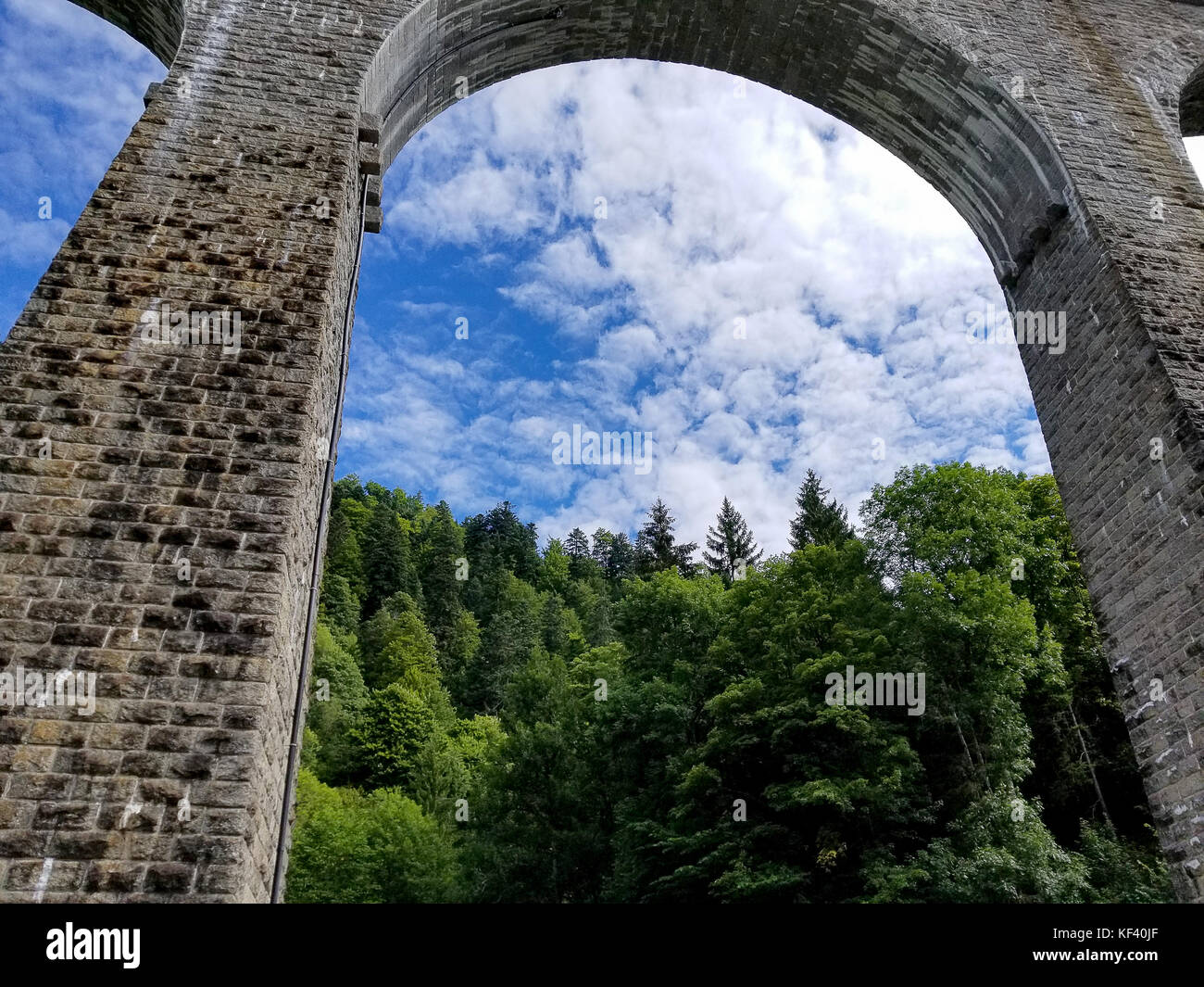Vieux train trestle à forêt noire allemagne avec des arbres verts et ciel bleu Banque D'Images Vieux train trestle à forêt noire allemagne avec des arbres verts et ciel bleu Banque D'Images