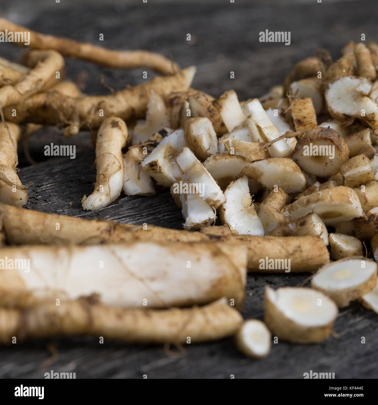 Wegwarte-Wurzel Wegwarten-Wurzel,, Wurzel, Wurzeln, Wurzelernte, Wurzeln von Wegwarte, Zichorienkaffee, Muckefuck, décroissance, Wurzelkaffee, Kaffee, Banque D'Images