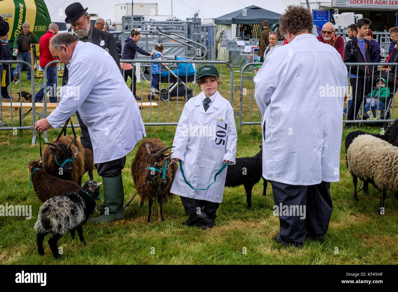 Adultes et enfants concurrents montrant des moutons de race rare North Somerset Show Banque D'Images