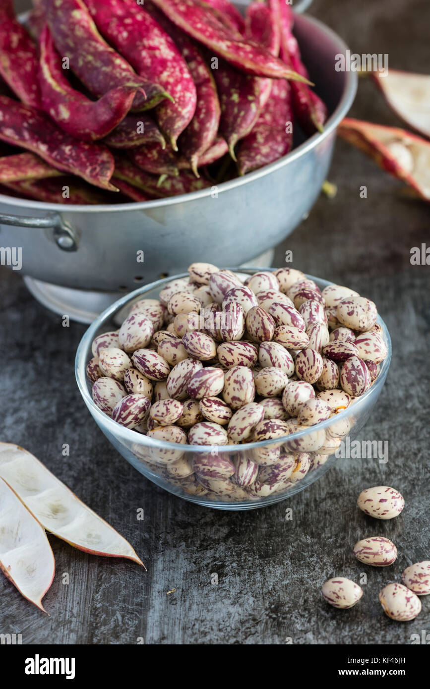 La formation des gousses de haricots borlotti frais dans la cuisine. Banque D'Images