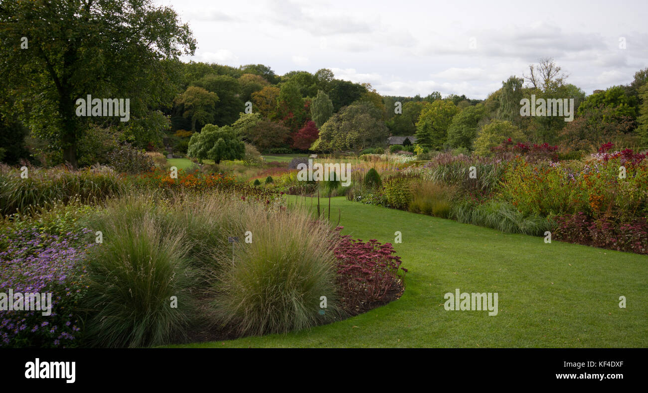 L'automne à jardins de Harlow Carr Banque D'Images