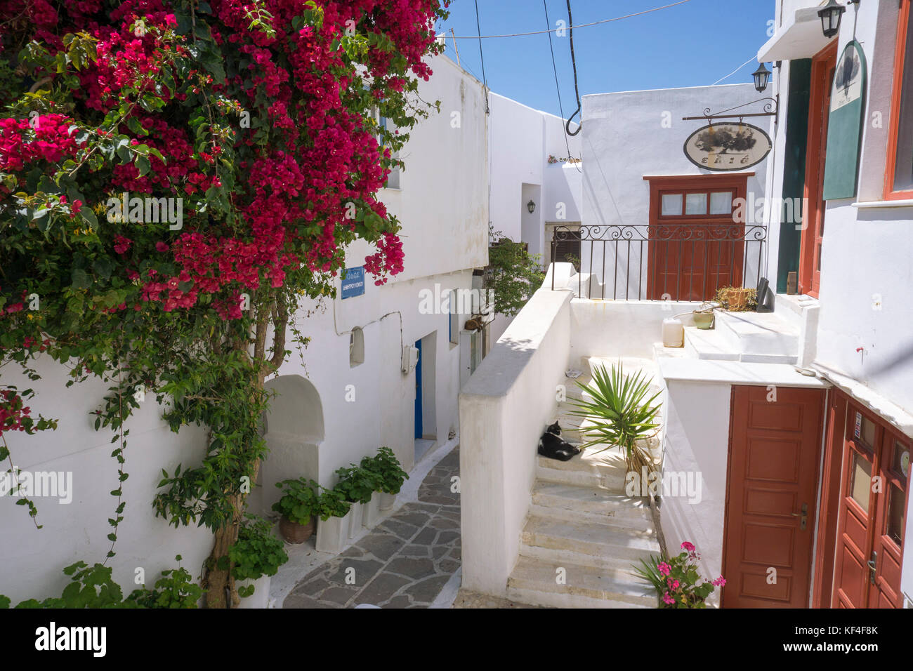 Alley avec Bougainville, vieille ville, ville de Naxos, Naxos, Cyclades, Mer Égée, Grèce Banque D'Images