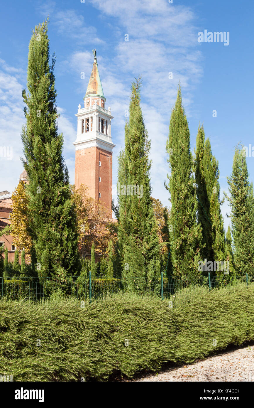 Le romarin aromatique de couverture herbacée bordant la promenade dans le parc en face de l'hôtel Campanile sur l'île de San Giorgio Maggiore, à Venise, Italie Banque D'Images