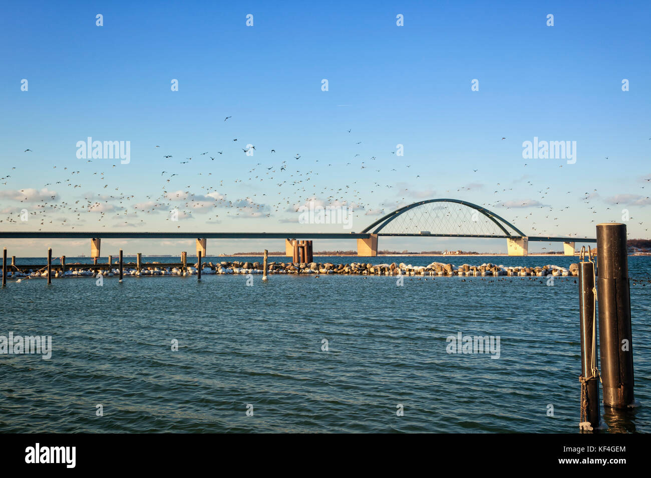 Flocks d'oiseaux aquatiques au-dessus du pont de Fehmarn Sound en hiver Banque D'Images