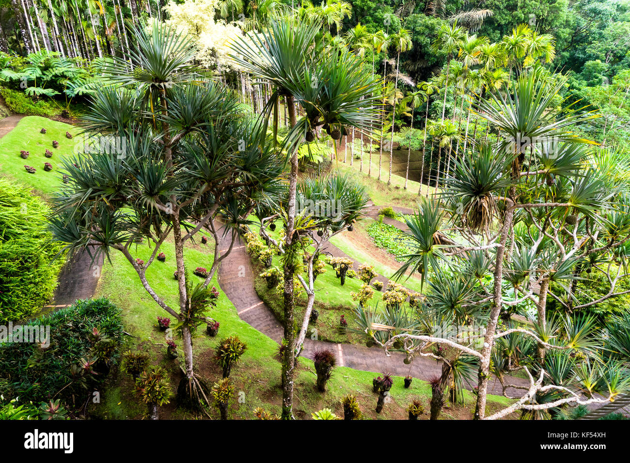 Jardin botanique martinique Banque de photographies et d’images à haute