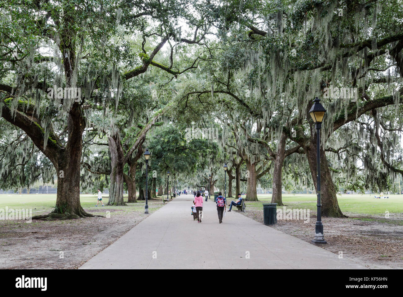 Forsyth Park à Savannah en Géorgie est un monument et destination préférée. il a été en vedette dans de nombreux films, dont forest gump et minuit dans le Banque D'Images