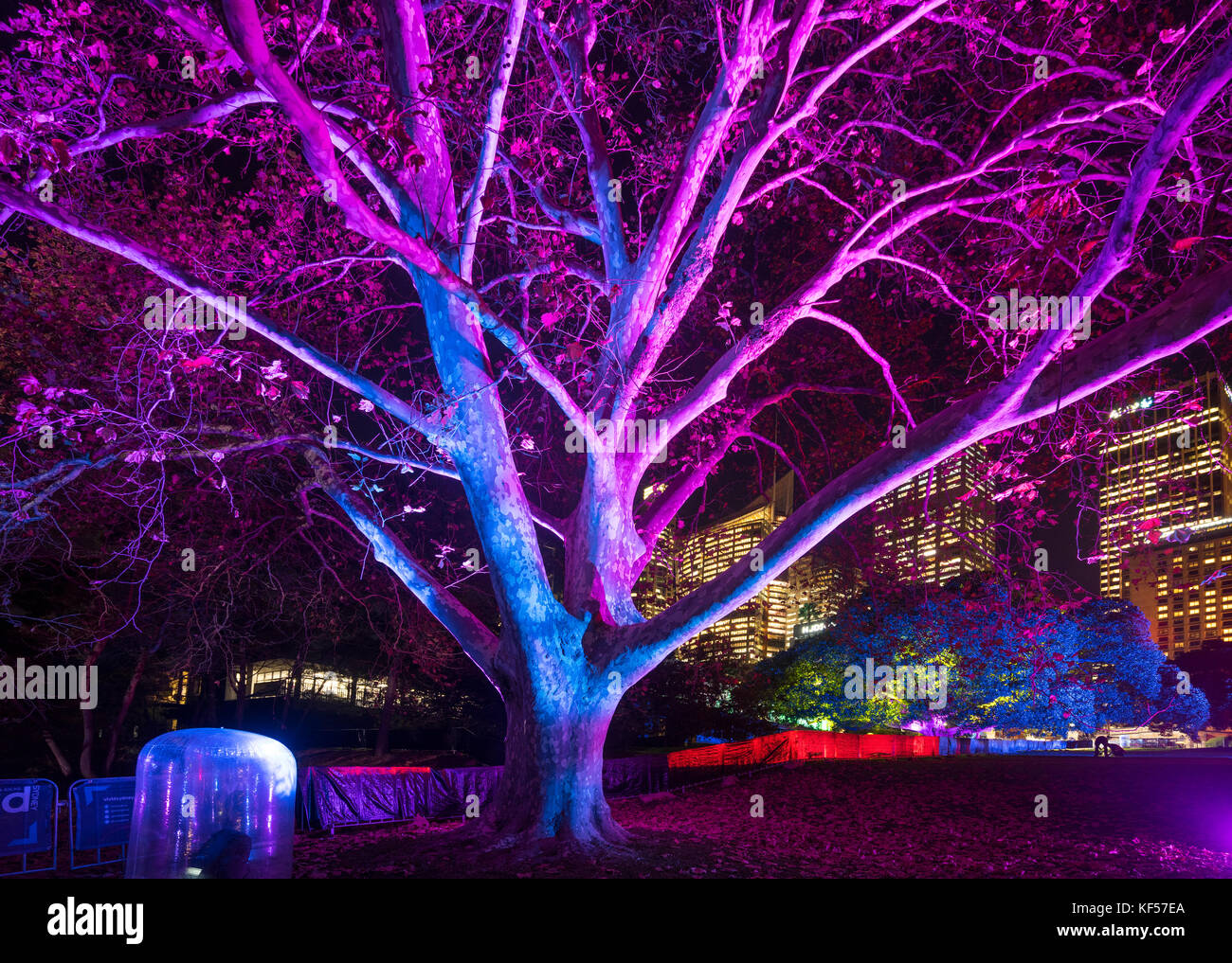 L'Australie, New South Wales, Sydney, Royal Botanic Garden, l'installation de la lumière électrique 'forêt' au cours de lumière vive 2017 Banque D'Images