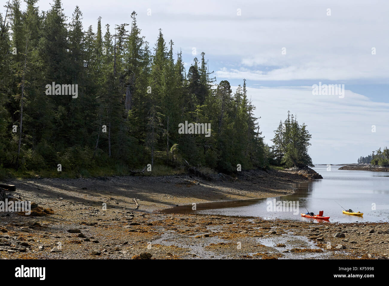 Deux kayaks sur la rive à foggy Bay en Alaska à marée basse avec une plage de galets et dense forêt de pins sous un ciel nuageux Banque D'Images