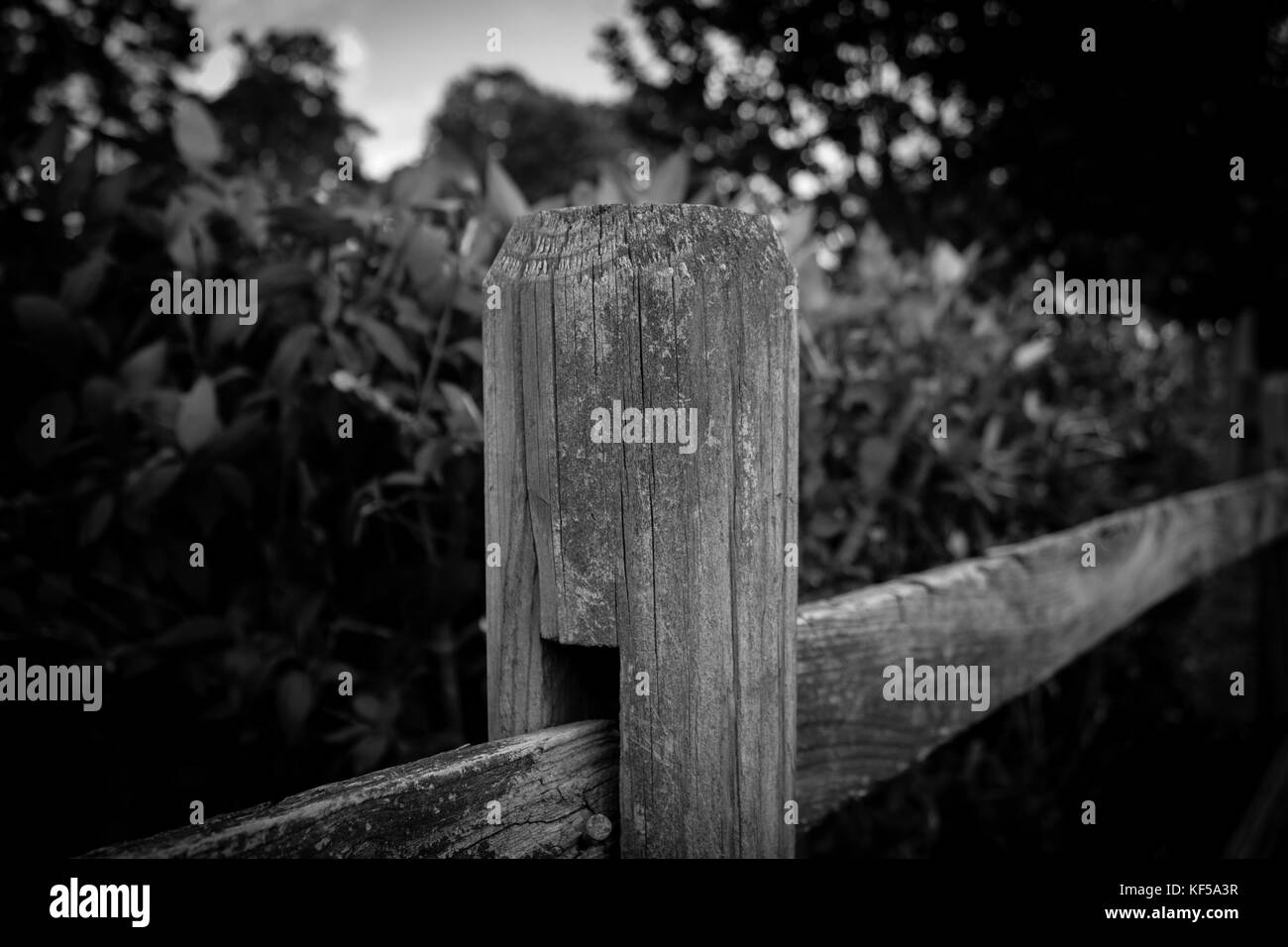 Lonely view Banque D'Images