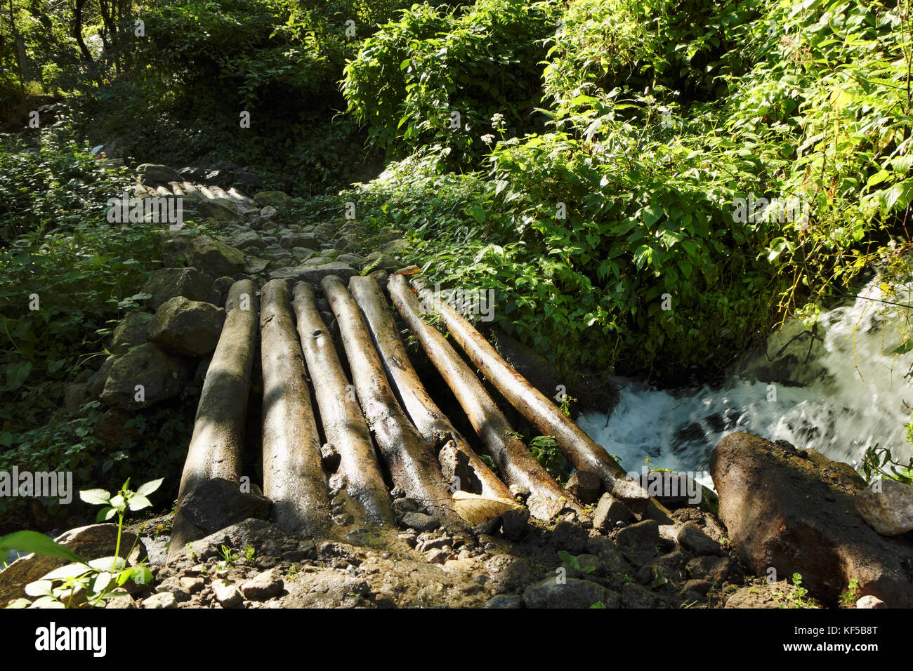 Un petit pont de bois à travers un ruisseau de montagne au Népal Banque D'Images Un petit pont de bois à travers un ruisseau de montagne au Népal Banque D'Images