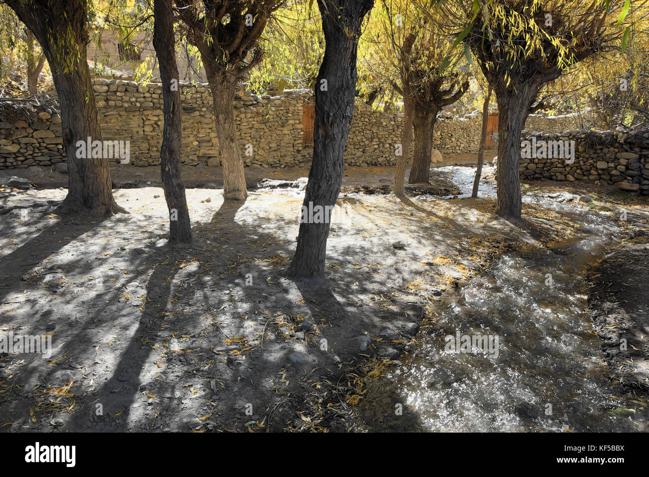 Une rue avec un cours d'eau le long de lui et les arbres avec des feuilles jaunes dans un village de montagne au Népal Banque D'Images Une rue avec un cours d'eau le long de lui et les arbres avec des feuilles jaunes dans un village de montagne au Népal Banque D'Images
