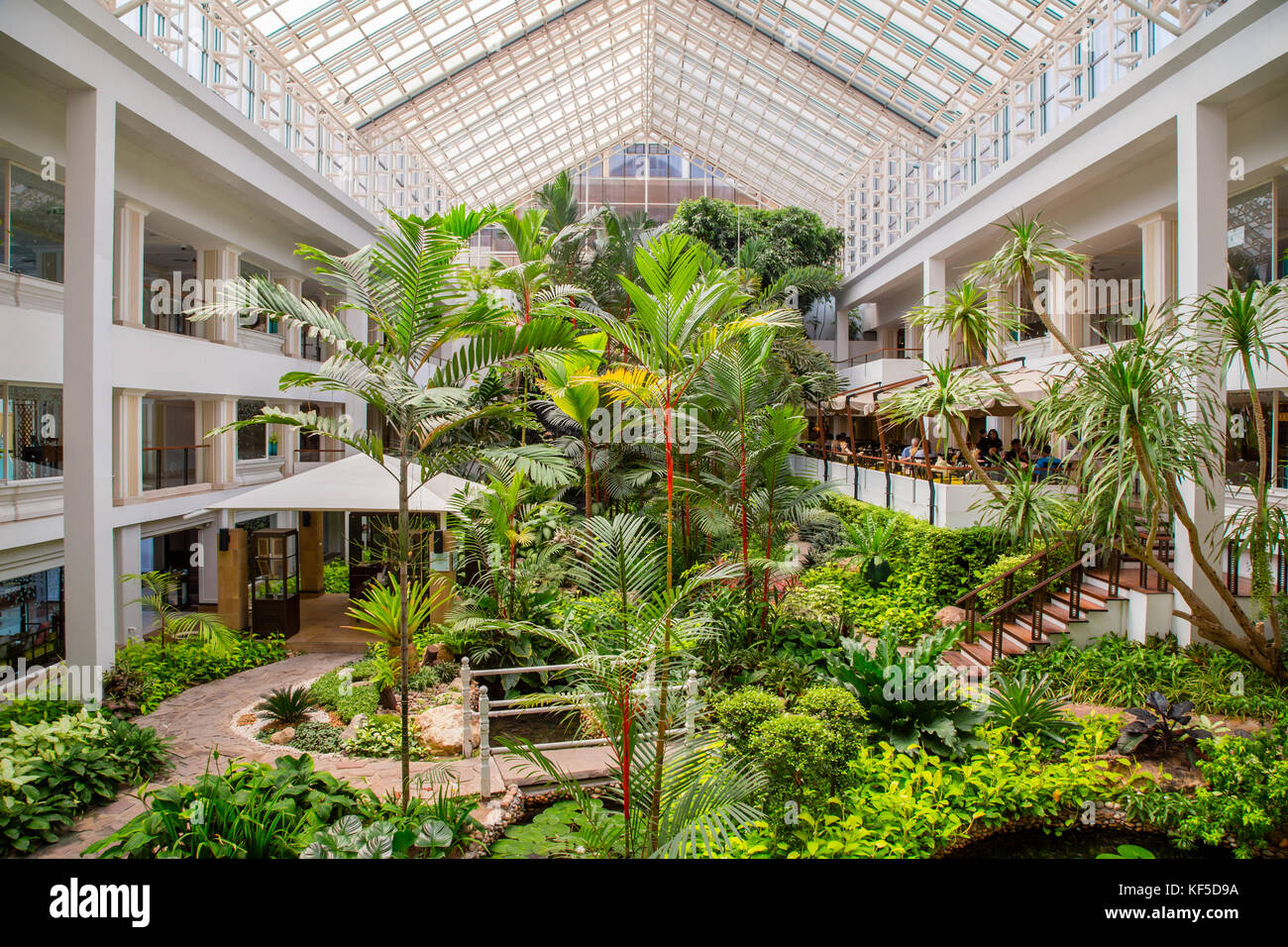 Jardin tropical intérieur de l'hôtel Dusit Thani hotel de luxe à Pattaya, Thaïlande Banque D'Images