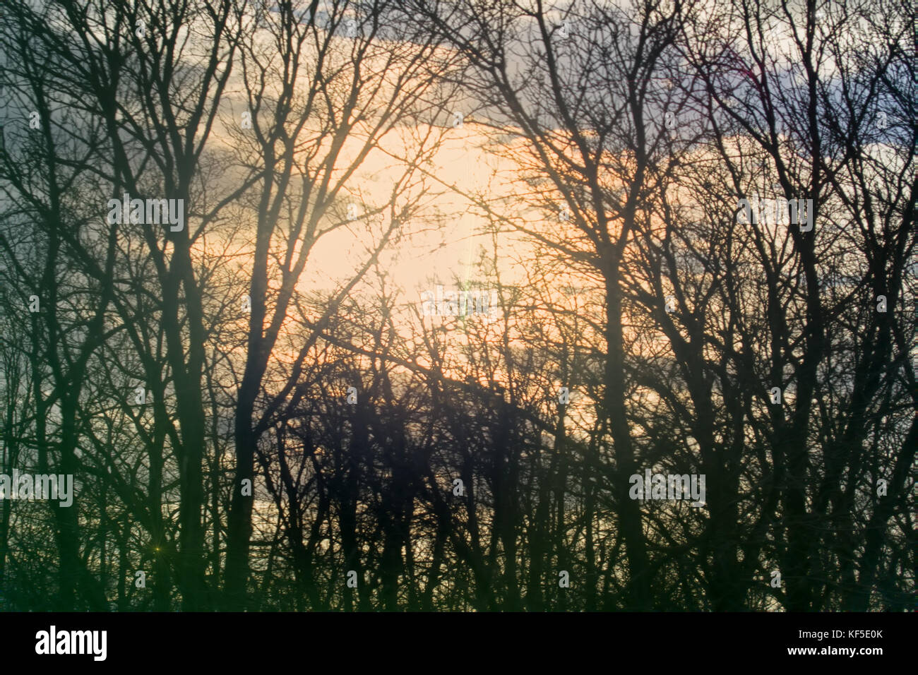 La dépression terrible forêt magique sombre dans la nuit l'énergie lunaire Banque D'Images