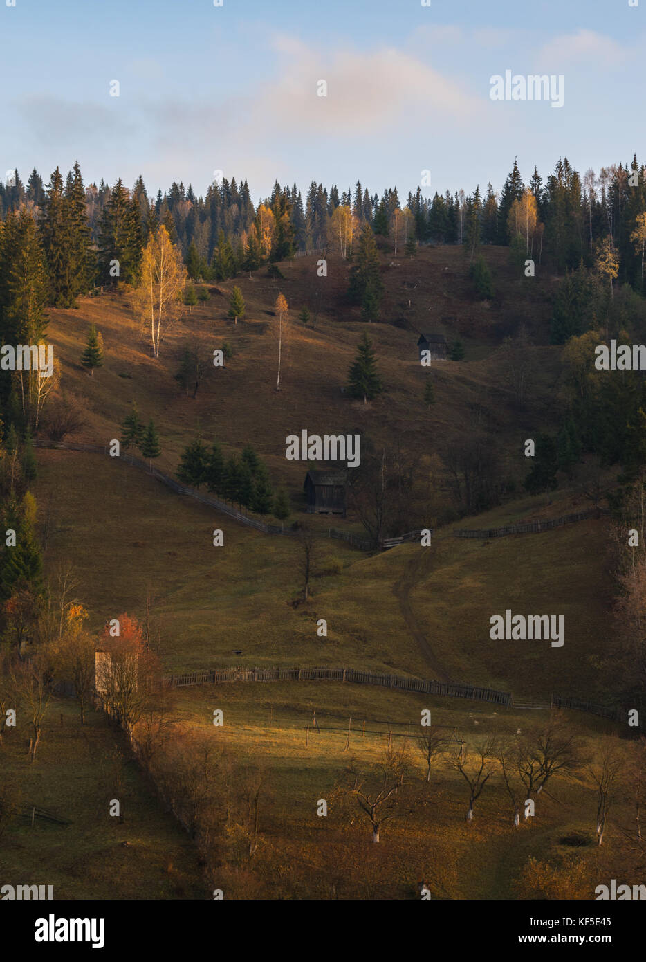 Scène d'automne en milieu rural dans le nord de la Roumanie, l'Europe de l'Est Banque D'Images