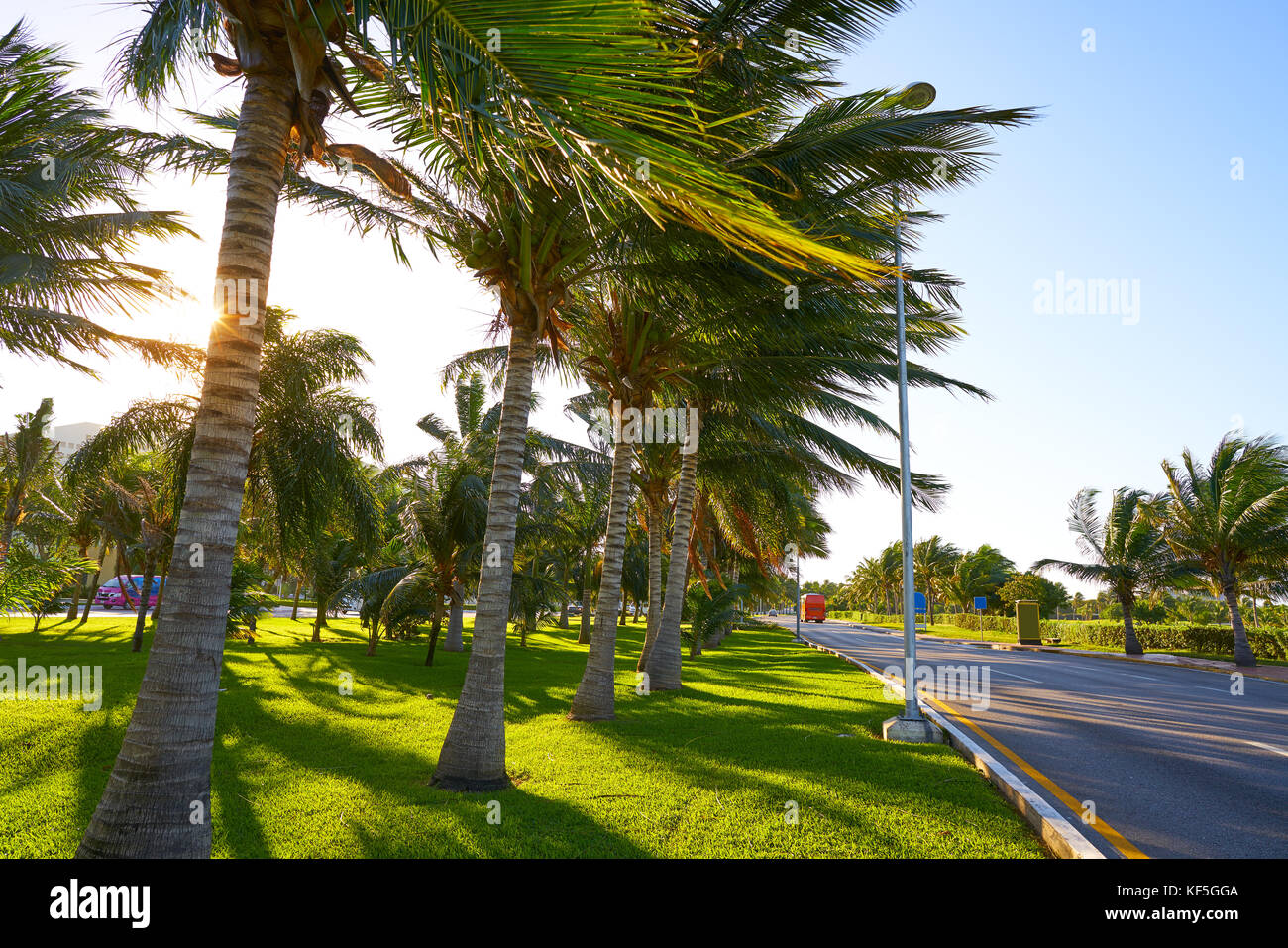 Mexique Cancun Boulevard Kukulcán palmiers à zone d'hôtel au Mexique Banque D'Images