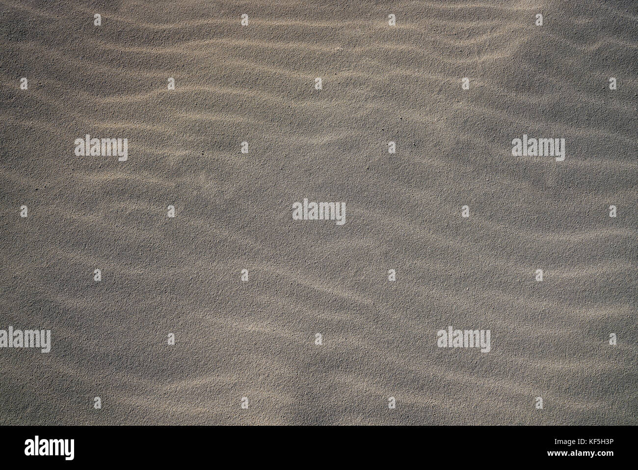 Cancun beach sand texture macro détail au Mexique Caraïbes Banque D'Images