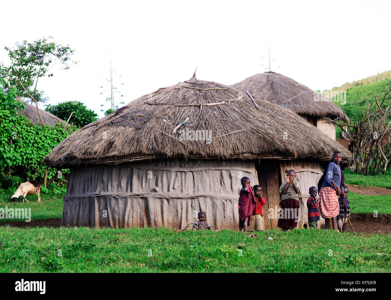 Les jeunes enfants massaïs dans leur village. Banque D'Images