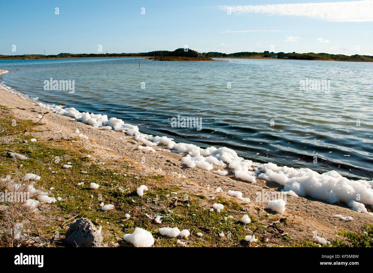 Le sel de la mousse sur le lac herschel - Rottnest Island - Australie Banque D'Images