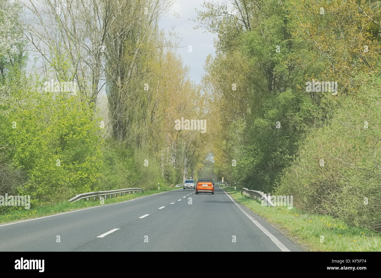 Voitures à travers les bois sur une route droite un jour de printemps Banque D'Images