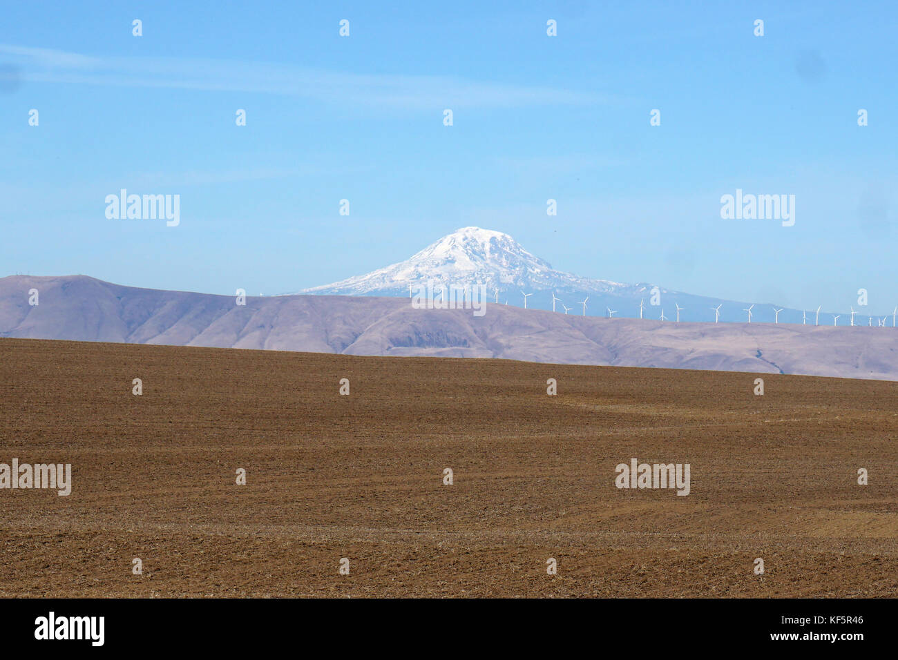 Mont Adams près de Moro, ou Banque D'Images