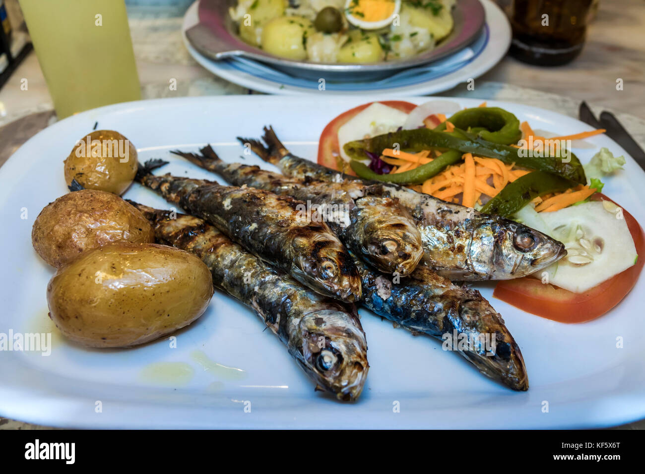 Sardines du portugal Banque de photographies et d’images à haute résolution Alamy