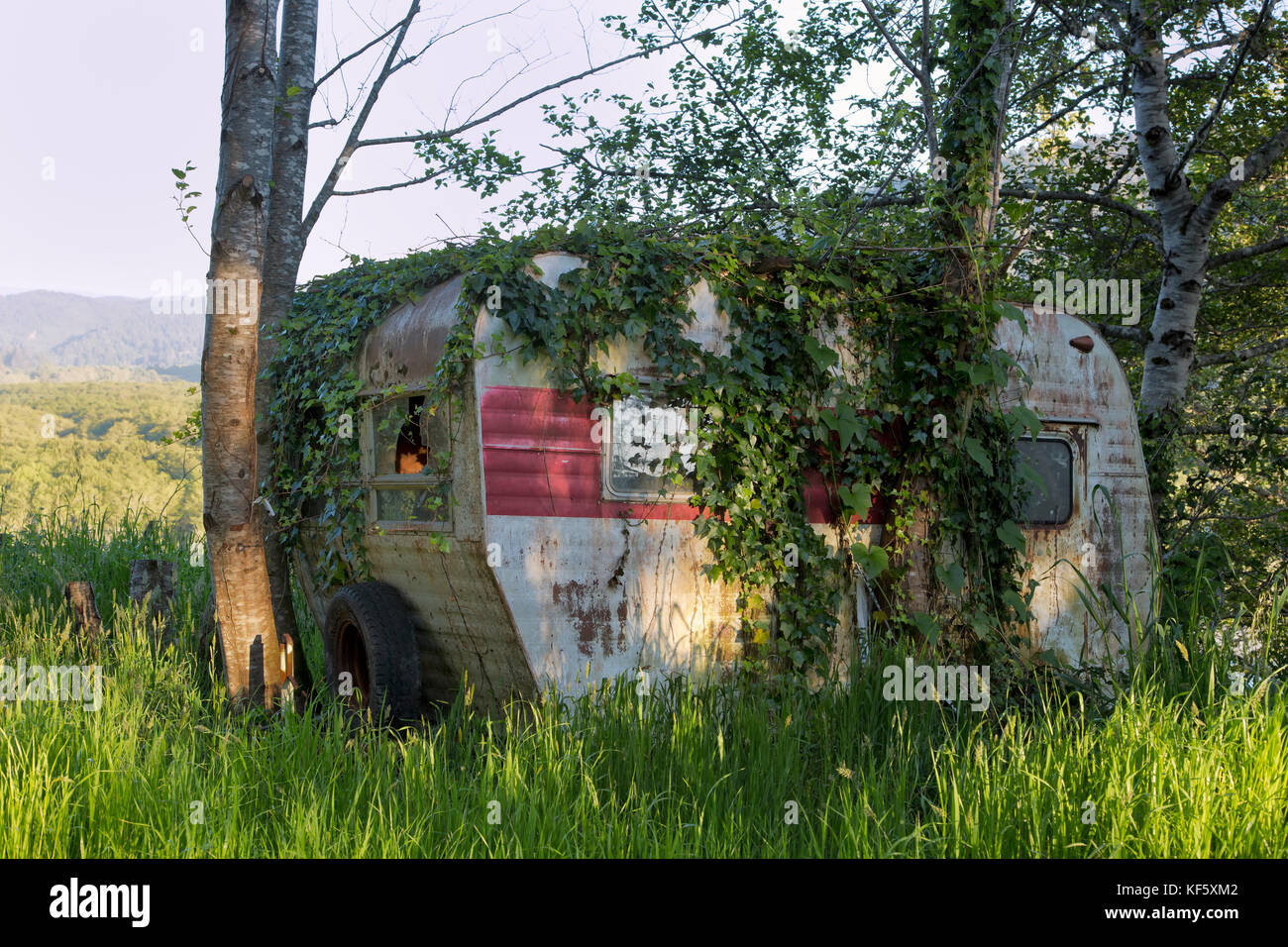 Vintage Travel Trailer Tour-A-Home, le repos sous un bosquet d'aulnes, montre de nombreuses années d'utilisation, datant de 1958 environ. Banque D'Images