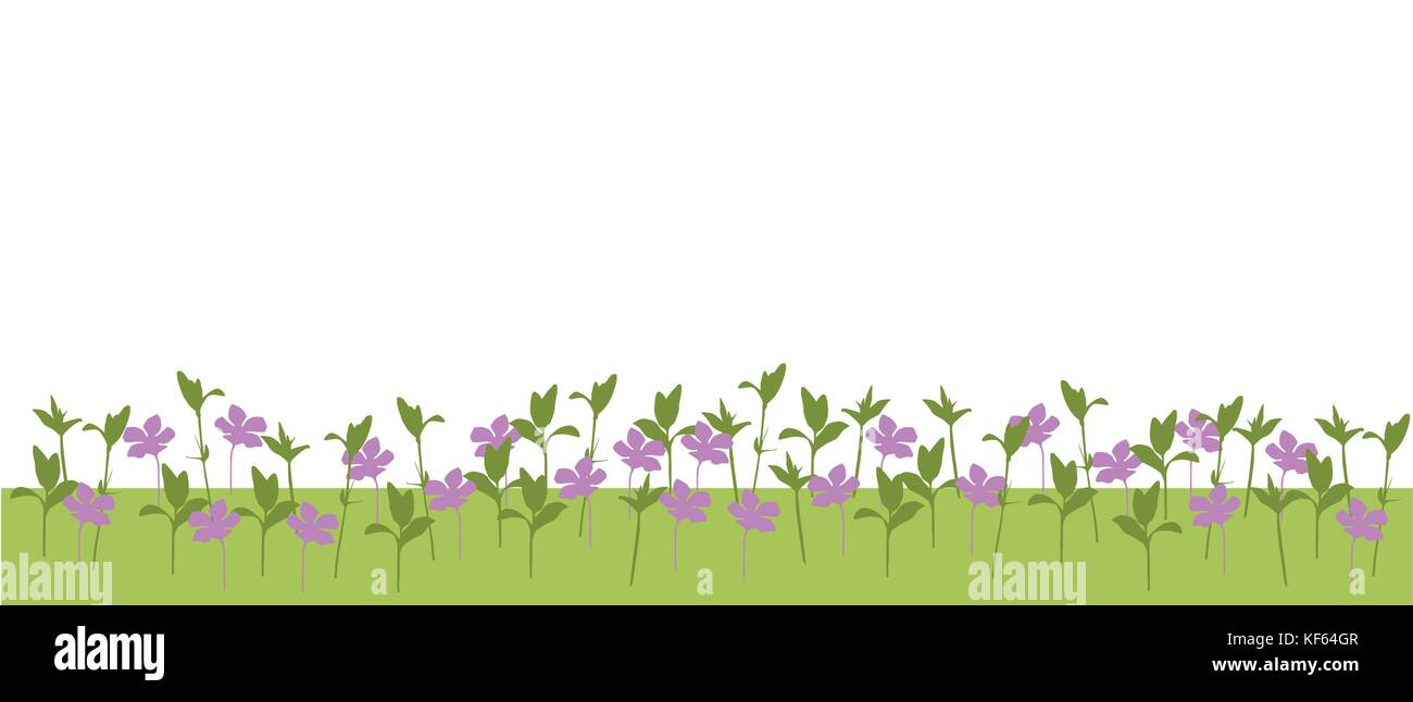 Vector illustration d'un pré de fleurs et de plantes et d'herbes isolé sur fond blanc Illustration de Vecteur