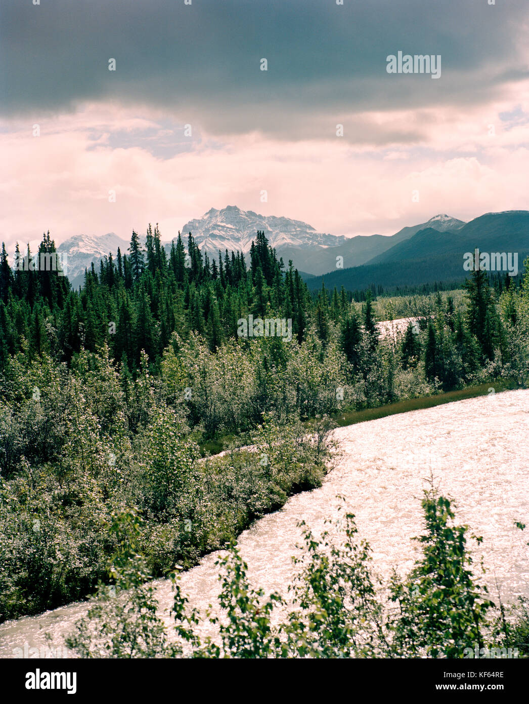 Usa, Alaska, paysage de la rivière knik pris de la voyage de Denali National Park à Anchorage Banque D'Images