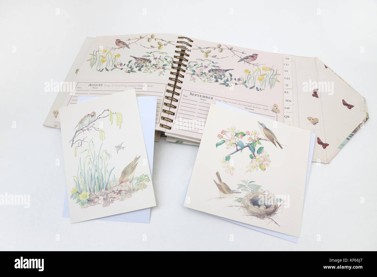 Carte de souhaits réserver un journal de pays pour une dame édouardienne Banque D'Images