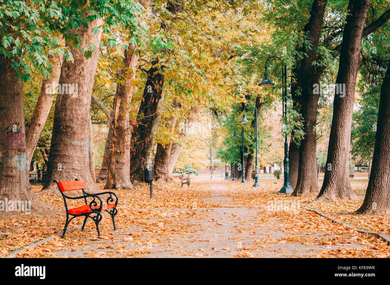 L'automne dans le parc de Skopje le 25 octobre, 2017 Skopje macédoine. r Banque D'Images