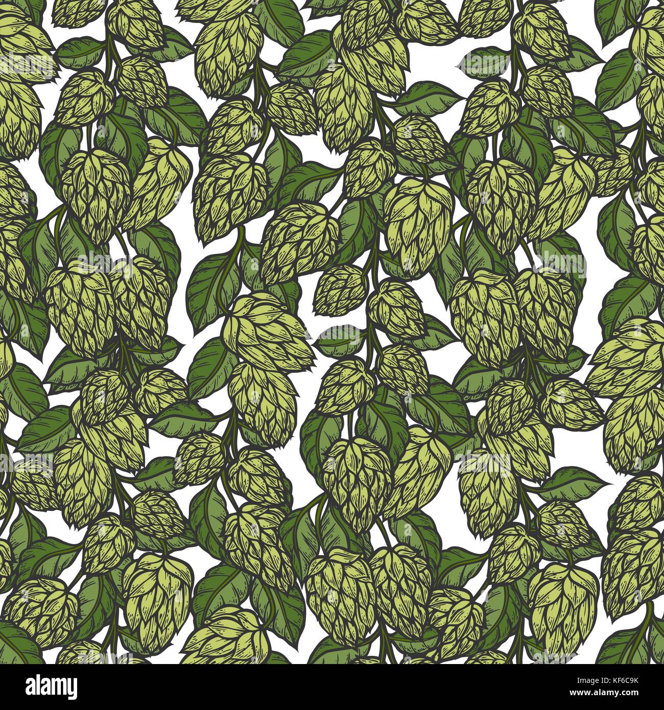 Hop vector pattern transparente. hand drawn bière houblon vert artistique avec des feuilles sur fond blanc. Papier peint à l'ancienne Illustration de Vecteur