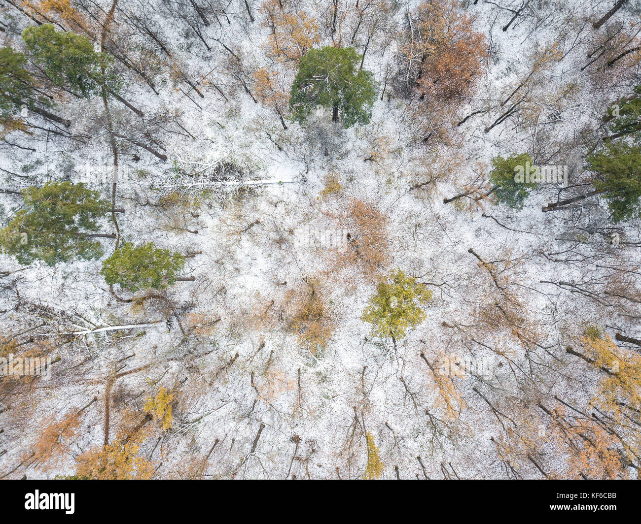 Vue aérienne sur le paysage de montagne en hiver Banque D'Images
