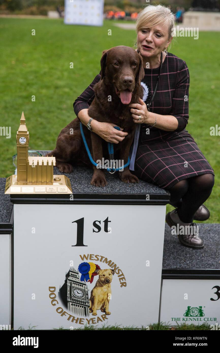 Londres, Royaume-Uni. 26 octobre, 2017. Tracy brabin, travail mp pour batley et spen, est assis avec ses 7 ans labrador rocky à Victoria tower gardens après avoir remporté le 1er prix de la Westminster dog de l'année organisée par le Kennel Club et les chiens trust. crédit : mark kerrison/Alamy live news Banque D'Images