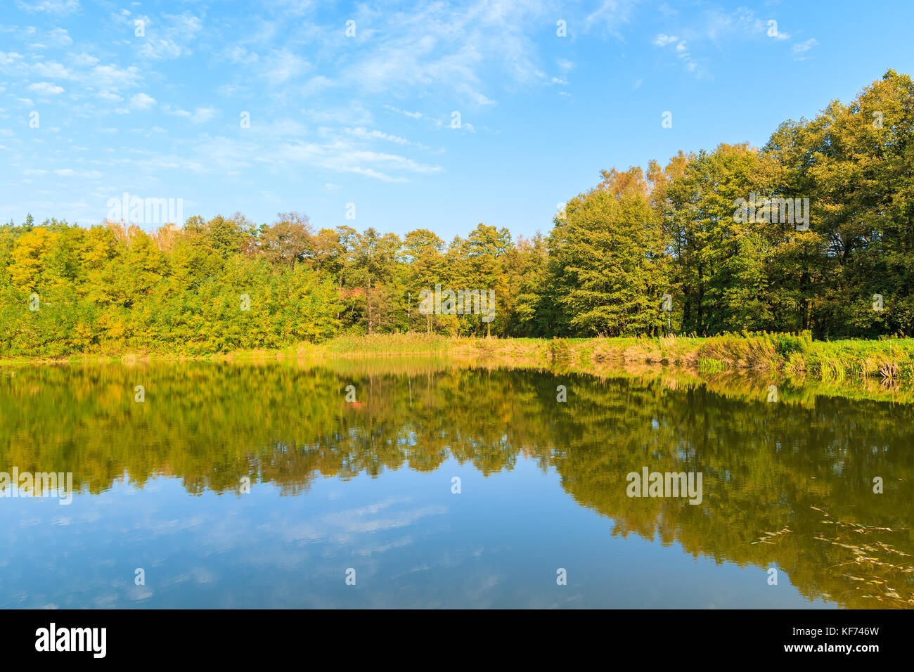 Reflet d'arbres colorés au petit lac en automne, la Pologne Banque D'Images