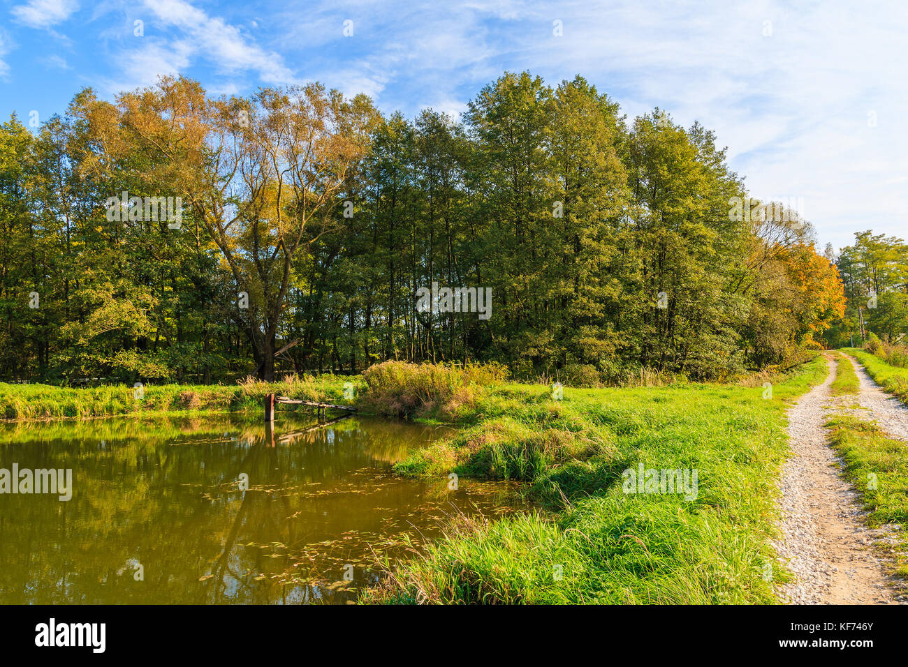 Les arbres colorés sur les rives du petit lac en automne, la Pologne Banque D'Images