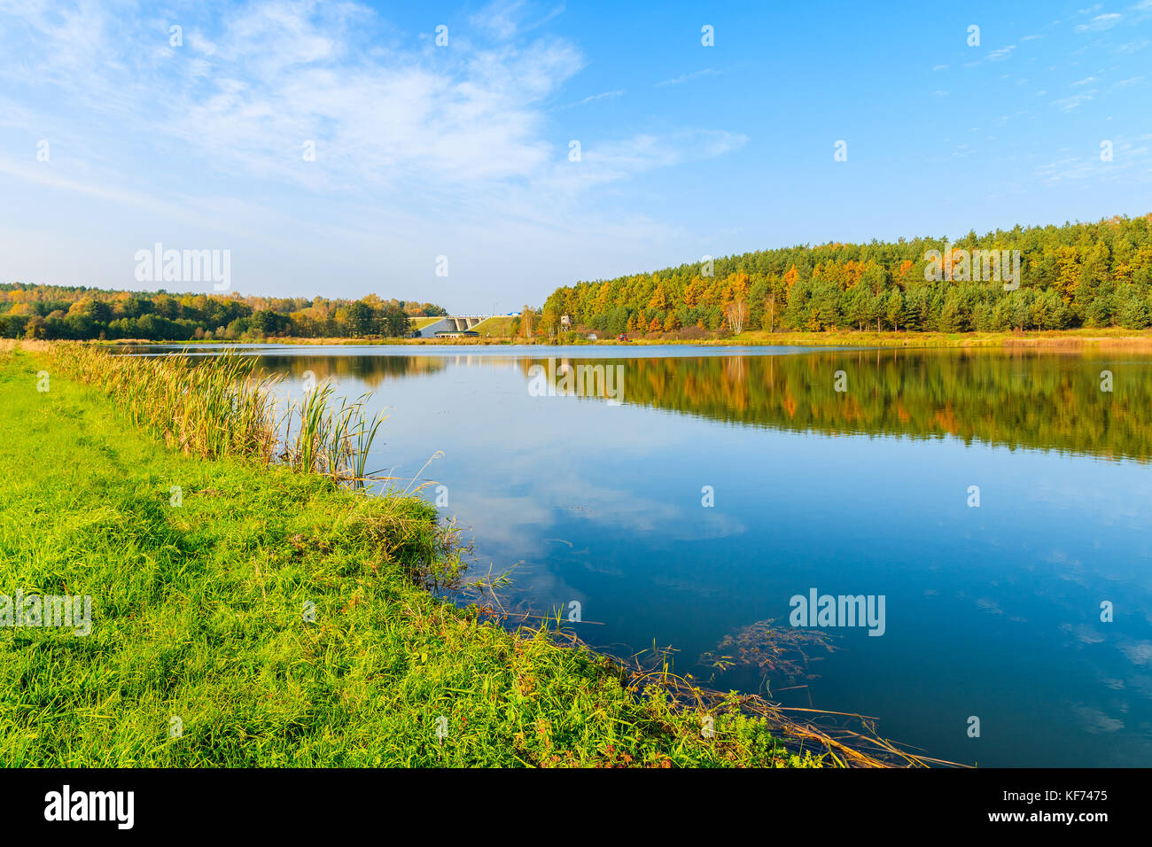 Reflet d'arbres colorés au petit lac en automne, la Pologne Banque D'Images