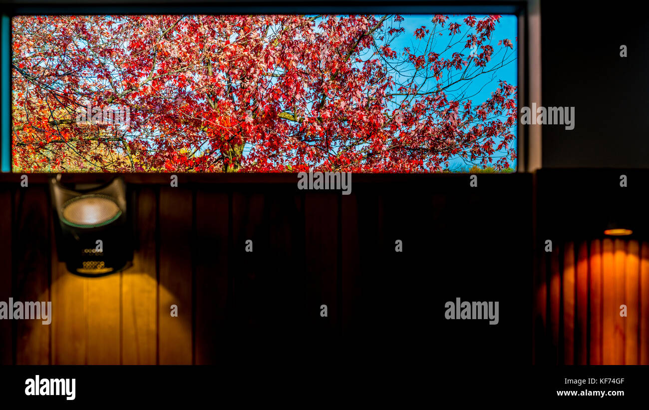 Vue d'automne sur le mont royal par le lac à Montréal Canada Banque D'Images Vue d'automne sur le mont royal par le lac à Montréal Canada Banque D'Images