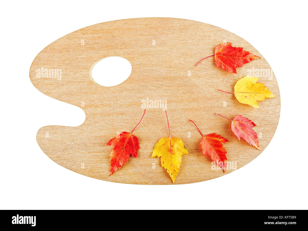 Couleurs d'automne automne la palette de l'artiste avec des feuilles rouge et jaune isolé sur fond blanc. vue d'en haut. Banque D'Images