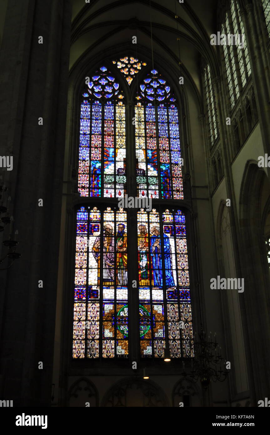 Cathédrale Saint-Martin, Achter de Dom Banque D'Images