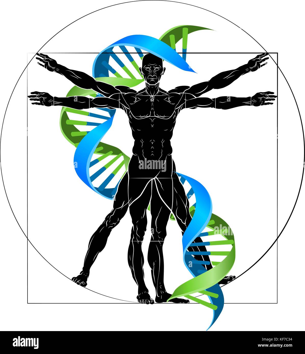 ADN de l'homme vitruvien Illustration de Vecteur